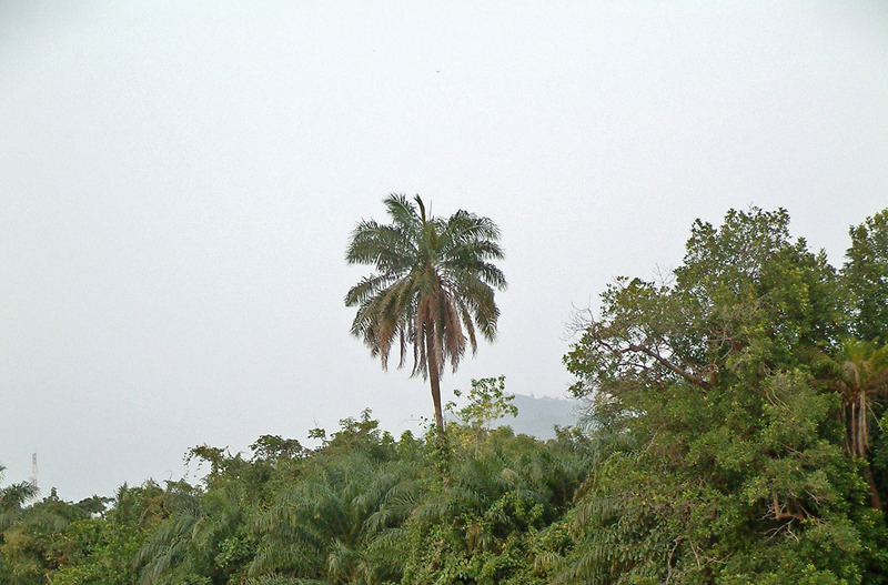 Volta region, the river, the lake